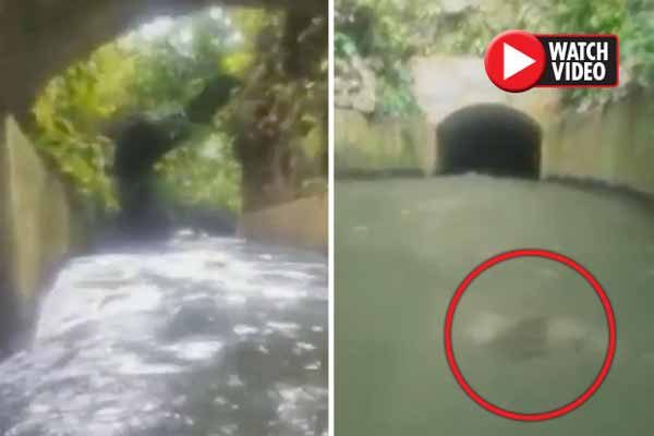 Vidéo: Un groupe d’amis a filmé leur périple sur une rivière – Ils ont été PÉTRIFIÉS par ce qu’ils ont découvert